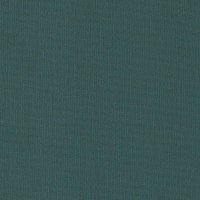 forest pine